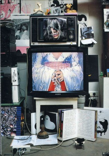 Inside Bj rk - DVD