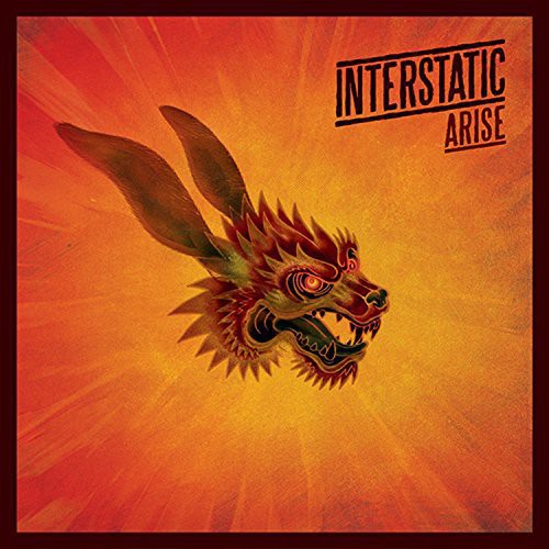 Interstatic Arise - Record Album - Vinyl LP
