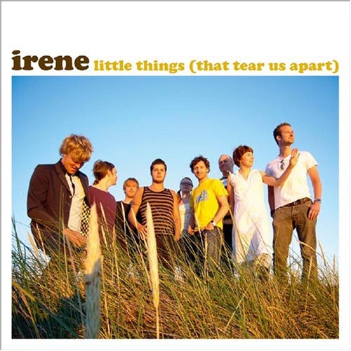 Irene Little Things That Tear Us Apart - CD Album
