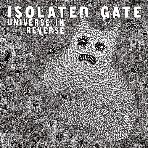 Isolated Gate Universe In Reverse - Record Album - Vinyl LP