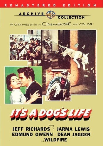 It's a Dog's Life - DVD