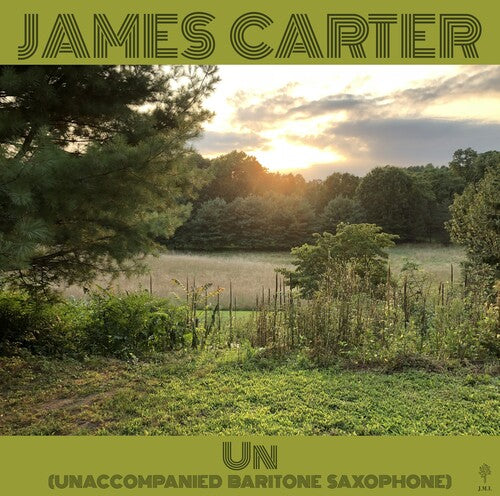 James Carter Un (Unaccompanied Baritone Saxophone) - Record Album - Vinyl LP