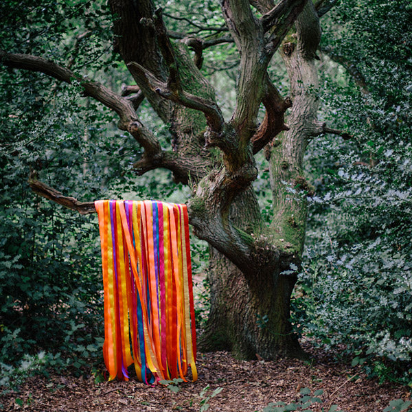 JAMES HOLDEN & THE ANIMAL SPIRITS The Animal Spirits