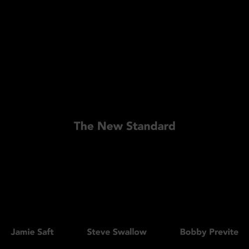 Jamie Saft / Swallow, Steve / Previte, Bobby New Standard - Record Album - Vinyl LP