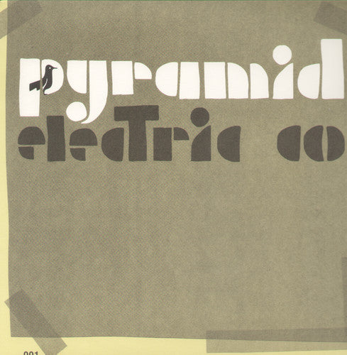 Jason Molina Pyramid Electric Co - Record Album - Vinyl LP