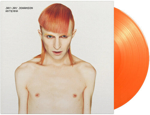 Jay-Jay Johanson Antenna - Double Record Album - Vinyl LP