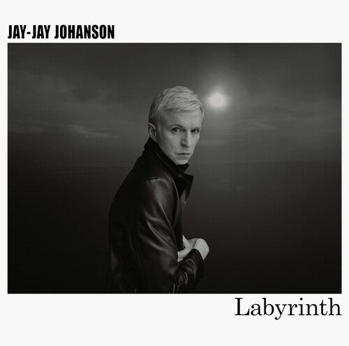 Jay-Jay Johanson Labyrinth - Record Album - Vinyl LP