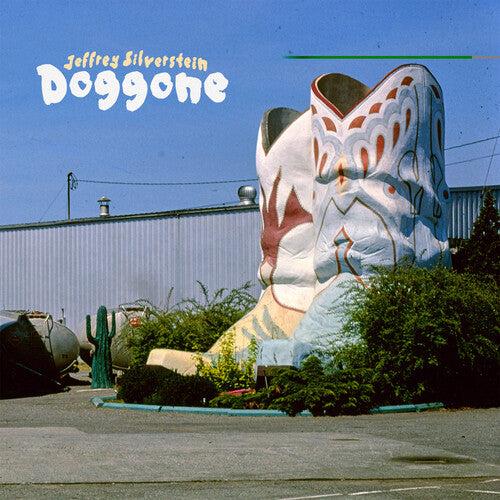 Jeffrey Silverstein Doggone - Record Album - Vinyl LP