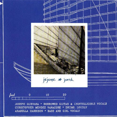 Jejune Junk - Record Album - Vinyl LP