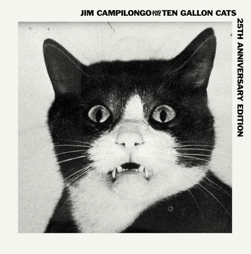 Jim Campilongo Jim Campilongo & Ten Gallon Cats - Record Album - Vinyl LP