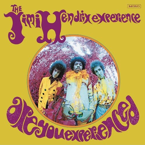 Jimi Hendrix Are You Experienced - Double Record Album - Vinyl LP