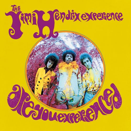 Jimi Hendrix Are You Experienced? - Record Album - Vinyl LP