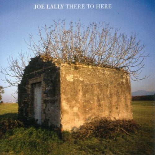 Joe Lally There To Here - Record Album - Vinyl LP