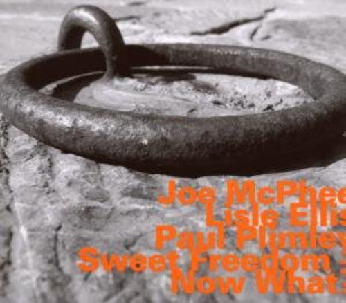 Joe Mcphee Now What - CD Album