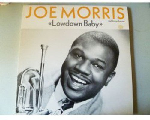 JOE MORRIS Lowdown Baby - Record Album - Vinyl LP