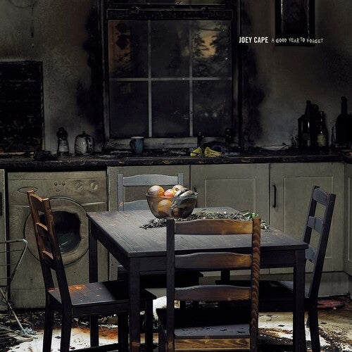 Joey Cape A Good Year To Forget - Record Album - Vinyl LP