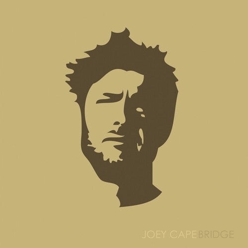 Joey Cape Bridge - Record Album - Vinyl LP