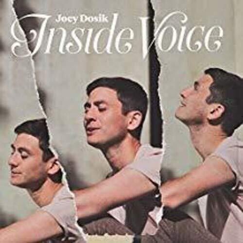 Joey Dosik INSIDE VOICE - Record Album - Vinyl LP