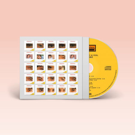 John Cale The Academy In Peril (Remastered)