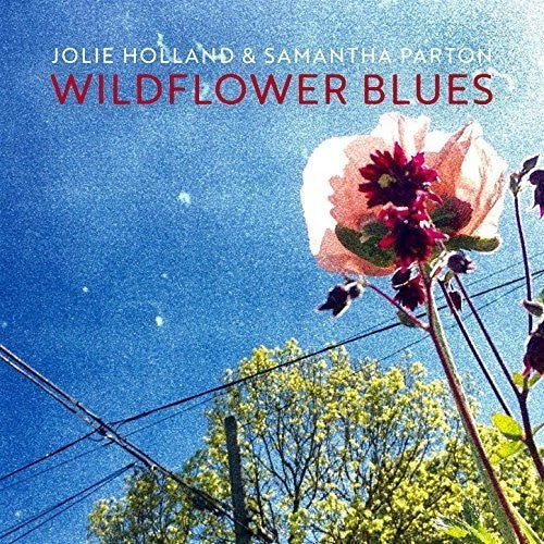 Jolie Holland Wildflower Blues - Record Album - Vinyl LP