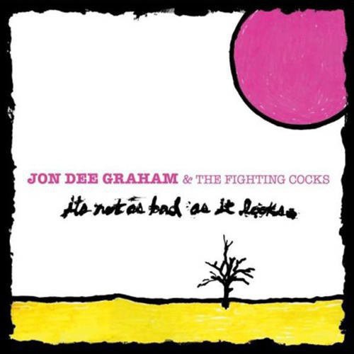 Jon Dee Graham It's Not As Bad As It Looks - Record Album - Vinyl LP