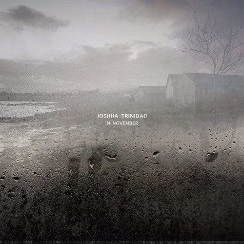 Joshua Trinidad In November - Record Album - Vinyl LP