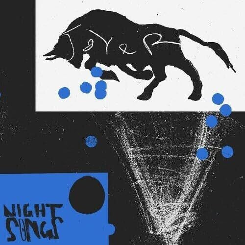 Joyer Night Songs - Record Album - Vinyl LP