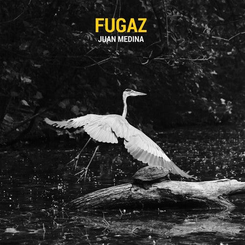 Juan Medina Fugaz - Record Album - Vinyl LP