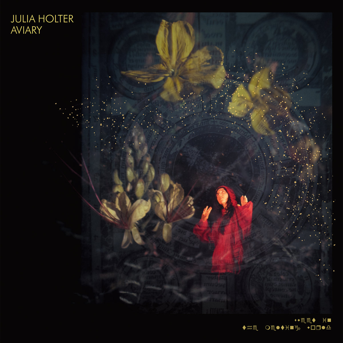 Julia Holter Aviary
