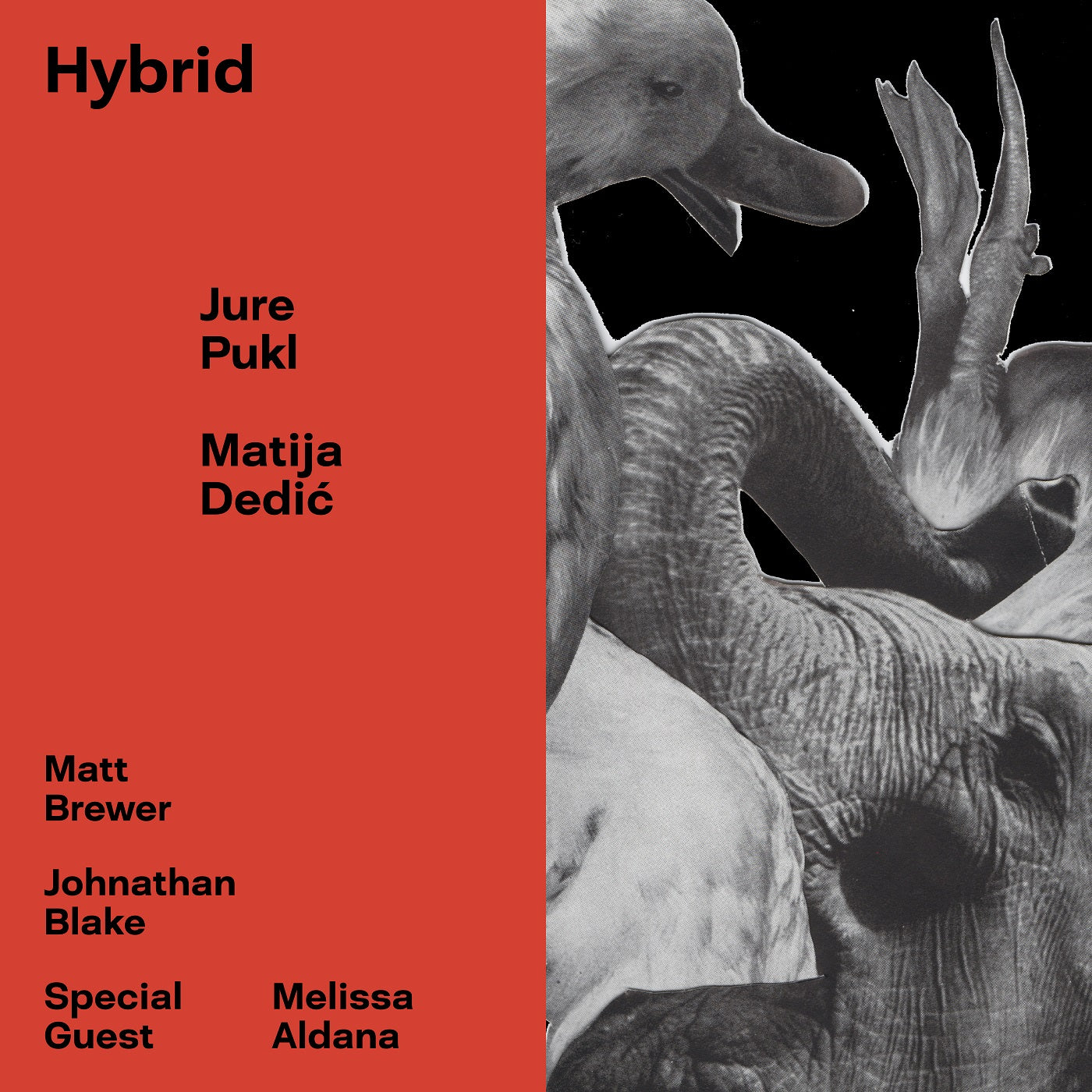 Jure & Matija Dedic Pukl Hybrid
