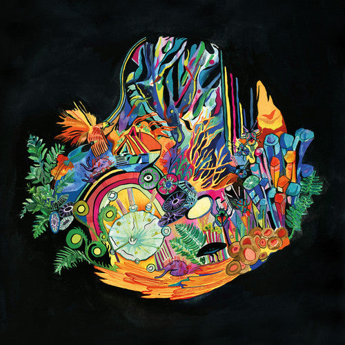 Kaitlyn Aurelia Smith Ears - Record Album - Vinyl LP