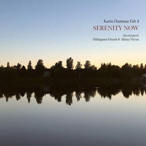 Karin Hammar Fab 4 Serenity Now - Record Album - Vinyl LP