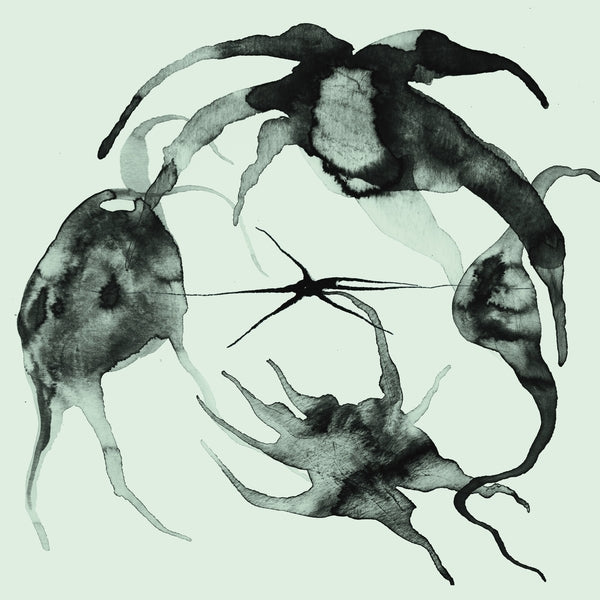 KASSEL JAEGER A Rift In the Horizon's Wall