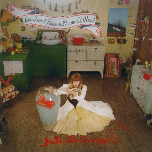 Kate Bollinger Songs From a Thousand Frames of Mind - Record Album - Vinyl LP
