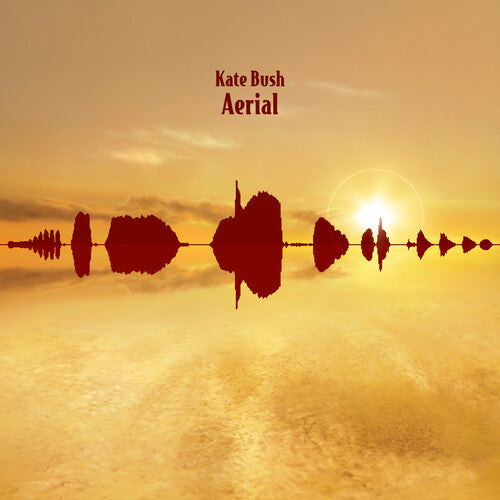 Kate Bush Aerial - Double Record Album - Vinyl LP