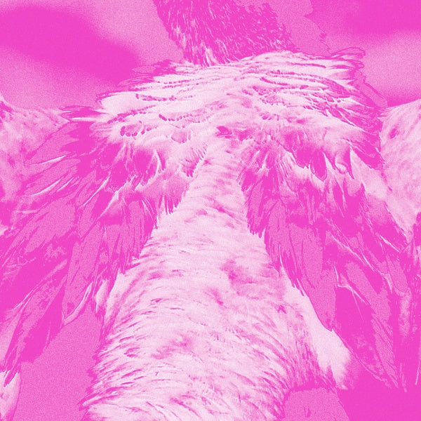 KATE CARR A field guide to phantasmic birds