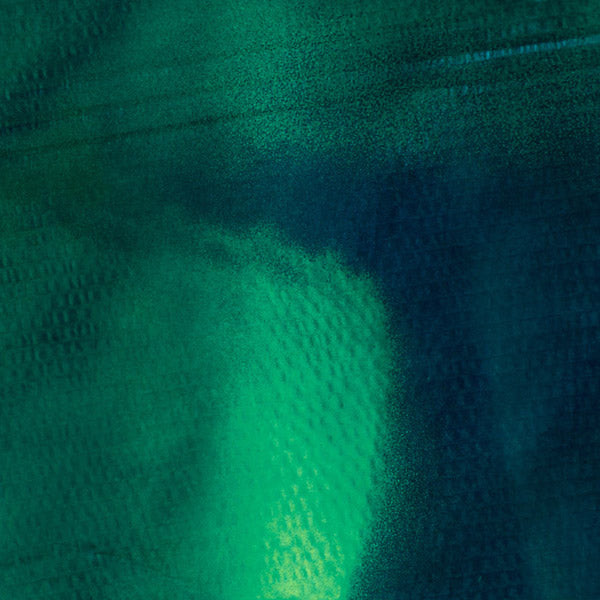 KATHARINA GROSSE & STEFAN SCHNEIDER Tiergarten