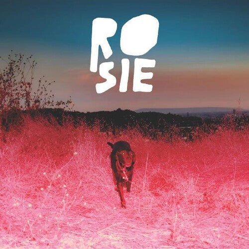 Kaycie Satterfield Rosie - Record Album - Vinyl LP