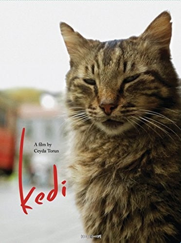 Kedi Kedi - DVD