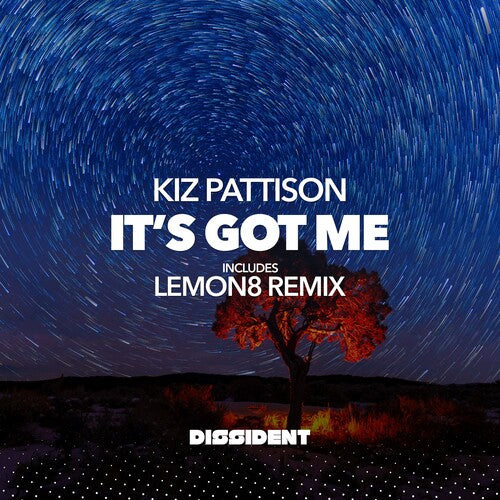 Kiz Pattison It's Got Me - CD Album
