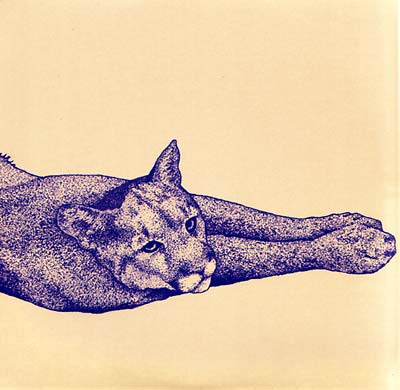 Koen Holtkamp Field Rituals