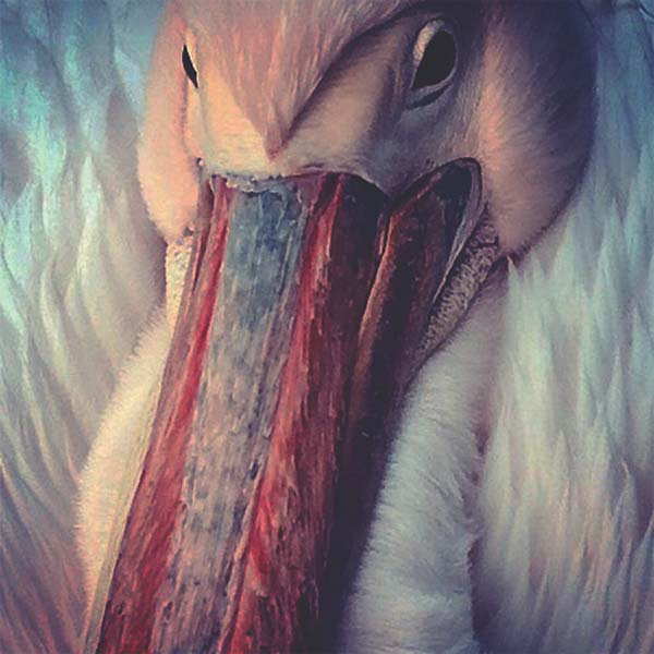 KONNTINENT The Empire Line