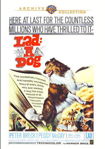 Lad a Dog - DVD