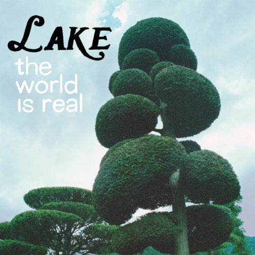 LAKE World Is Real - Record Album - Vinyl LP