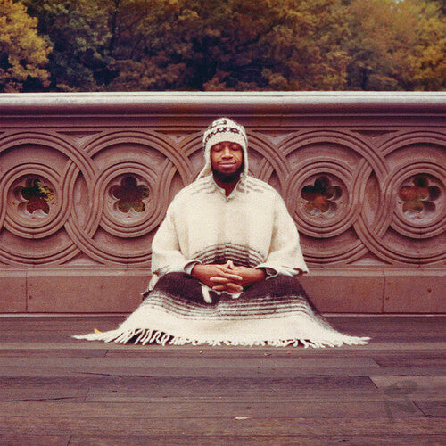 Laraaji Segue To Infinity - 4-Disc Record Album - Vinyl LP