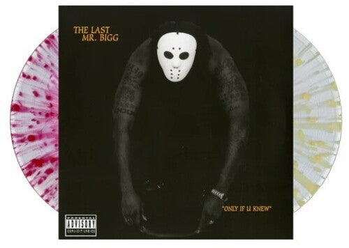 Last Mr Bigg Only If U Knew - Double Record Album - Vinyl LP