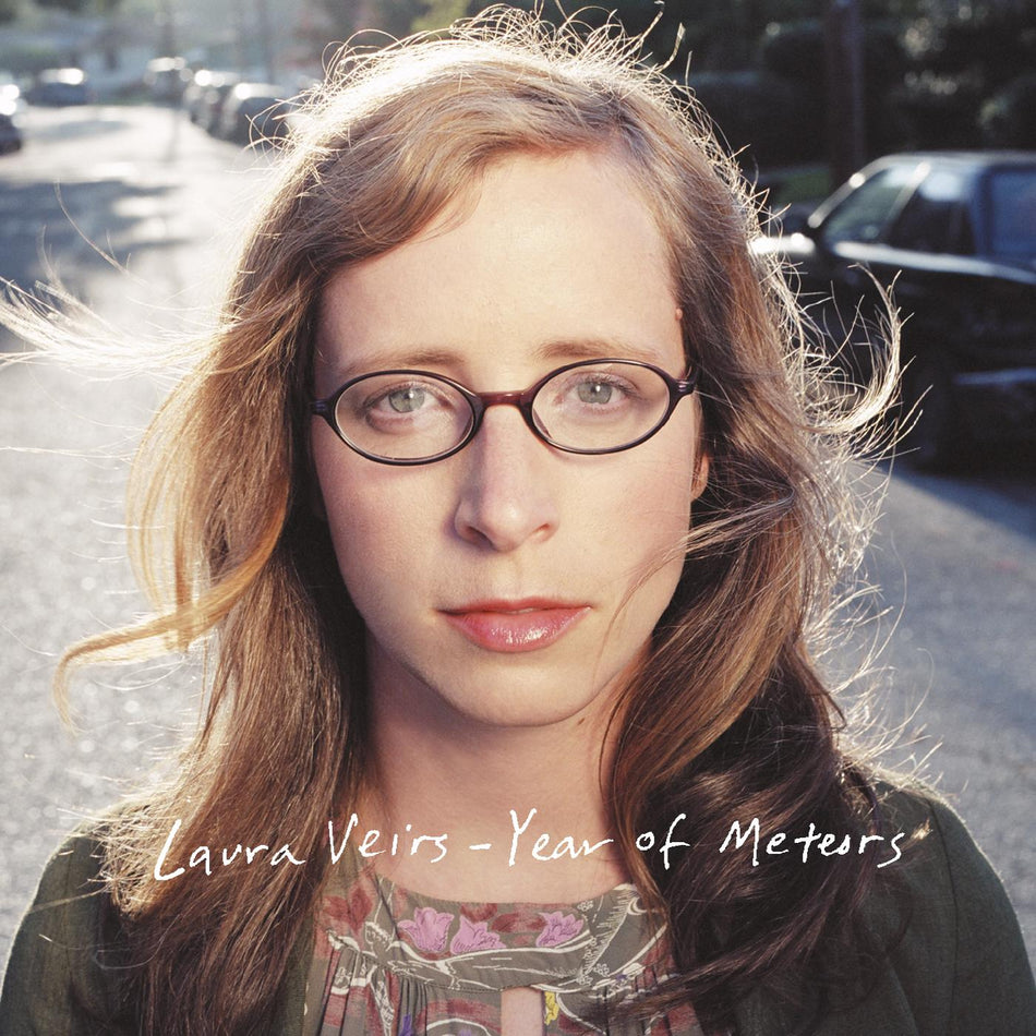 Laura Veirs Year of Meteors