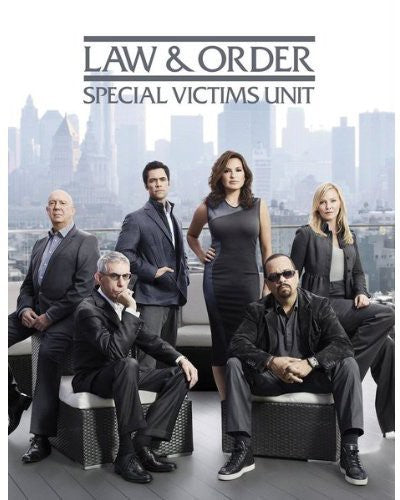 Law & Order: Special Victims Unit: Year Fourteen - 5-Disc DVD Set