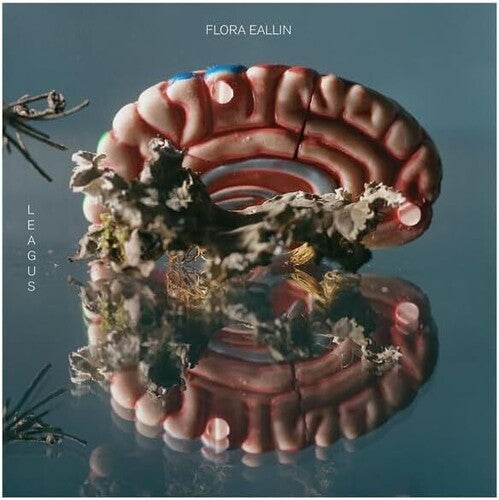 Leagus Flora Eallin - Double Record Album - Vinyl LP