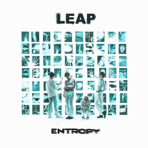 Leap Entropy - Record Album - Vinyl LP